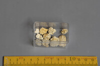 F 03363 01
<br/>
<br/>
<em></em>